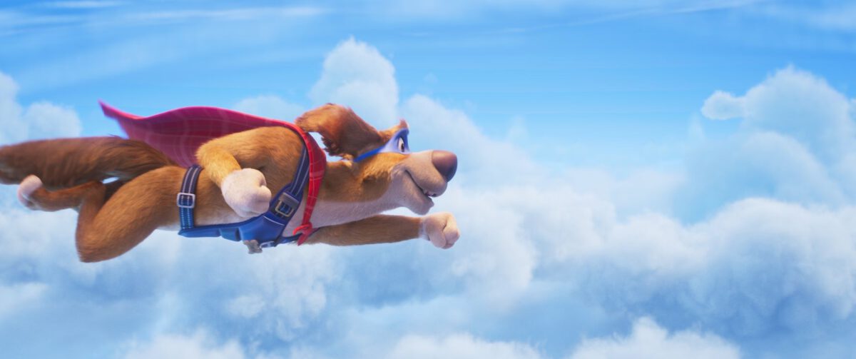 Charlie The Wonderdog