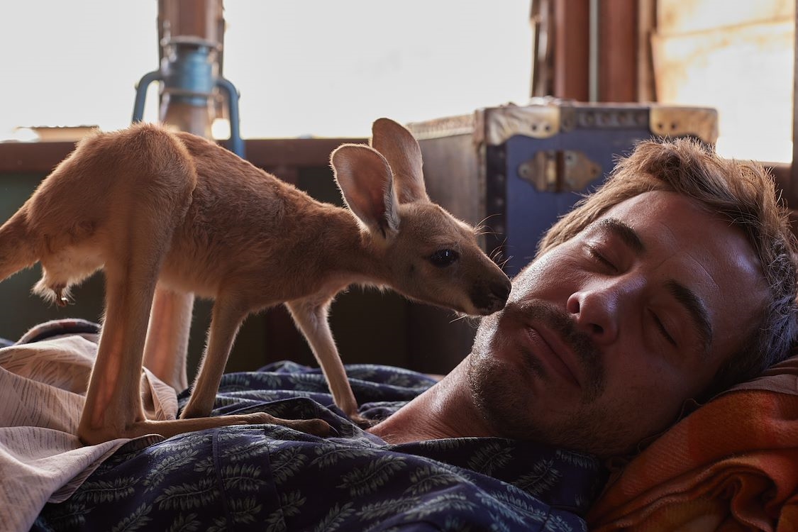 Kangaroo